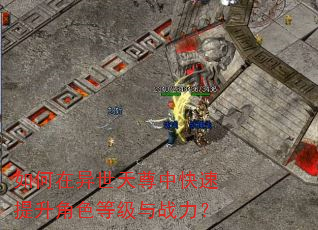 如何在异世天尊中快速提升角色等级与战力? 如何在异世天尊中快速提升角色等级与战力?