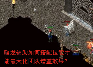 暗龙辅助如何搭配技能才能最大化团队增益效果? 暗龙辅助如何搭配技能才能最大化团队增益效果?