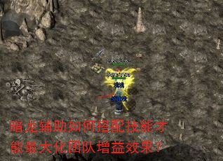 暗龙辅助如何搭配技能才能最大化团队增益效果? 暗龙辅助如何搭配技能才能最大化团队增益效果?
