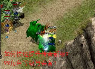 如何快速提升传奇新服999角色等级与装备? 如何快速提升传奇新服999角色等级与装备?