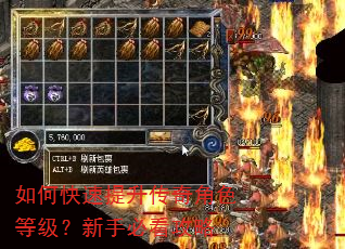 如何快速提升传奇角色等级?新手必看攻略 如何快速提升传奇角色等级?新手必看攻略