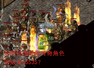 如何快速提升传奇角色等级至65535? 如何快速提升传奇角色等级至65535?
