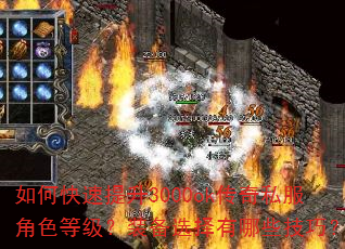 如何快速提升3000ok传奇私服角色等级?装备选择有哪些技巧? 如何快速提升3000ok传奇私服角色等级?装备选择有哪些技巧?