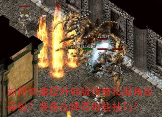 如何快速提升韩版传奇私服角色等级?装备选择有哪些技巧? 如何快速提升韩版传奇私服角色等级?装备选择有哪些技巧?