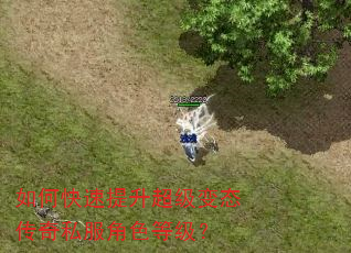 如何快速提升超级变态传奇私服角色等级? 如何快速提升超级变态传奇私服角色等级?