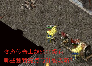变态传奇上线5000级有哪些独特亮点与升级攻略? 变态传奇上线5000级有哪些独特亮点与升级攻略?
