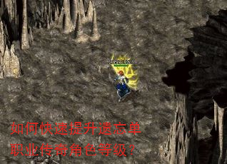 如何快速提升遗忘单职业传奇角色等级? 如何快速提升遗忘单职业传奇角色等级?