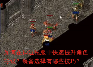 如何在神泣私服中快速提升角色等级?装备选择有哪些技巧? 如何在神泣私服中快速提升角色等级?装备选择有哪些技巧?