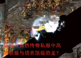 如何在自然传奇私服中高效驯服与培养顶级恐龙? 如何在自然传奇私服中高效驯服与培养顶级恐龙?