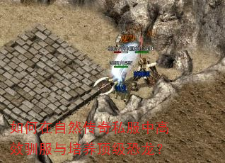 如何在自然传奇私服中高效驯服与培养顶级恐龙? 如何在自然传奇私服中高效驯服与培养顶级恐龙?