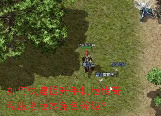 如何快速提升手机版传奇私服老版本角色等级? 如何快速提升手机版传奇私服老版本角色等级?