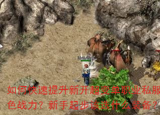 如何快速提升新开超变单职业私服角色战力?新手起步该选什么装备? 如何快速提升新开超变单职业私服角色战力?新手起步该选什么装备?