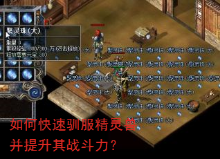 如何快速驯服精灵兽并提升其战斗力? 如何快速驯服精灵兽并提升其战斗力?