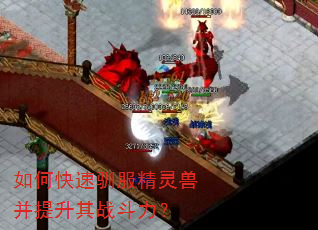 如何快速驯服精灵兽并提升其战斗力? 如何快速驯服精灵兽并提升其战斗力?
