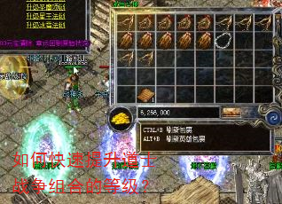 如何快速提升道士战争组合的等级? 如何快速提升道士战争组合的等级?