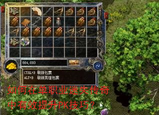 如何在单职业迷失传奇中有效提升PK技巧? 如何在单职业迷失传奇中有效提升PK技巧?