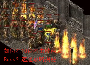 如何在10秒内击败两大Boss?速通攻略揭秘 如何在10秒内击败两大Boss?速通攻略揭秘