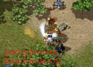 如何快速提升2018无赦单职业角色战斗力? 如何快速提升2018无赦单职业角色战斗力?