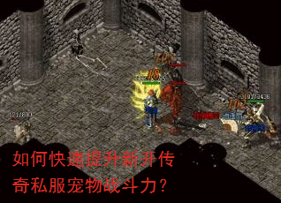 如何快速提升新开传奇私服宠物战斗力? 如何快速提升新开传奇私服宠物战斗力?