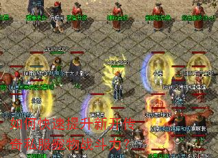 如何快速提升新开传奇私服宠物战斗力? 如何快速提升新开传奇私服宠物战斗力?