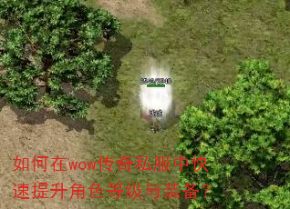 如何在wow传奇私服中快速提升角色等级与装备? 如何在wow传奇私服中快速提升角色等级与装备?