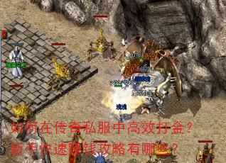 如何在传奇私服中高效打金?新手快速赚钱攻略有哪些? 如何在传奇私服中高效打金?新手快速赚钱攻略有哪些?