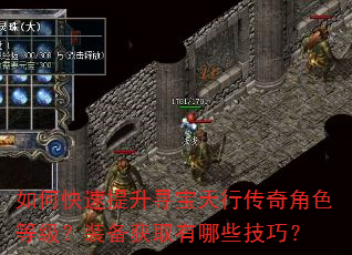 如何快速提升寻宝天行传奇角色等级?装备获取有哪些技巧? 如何快速提升寻宝天行传奇角色等级?装备获取有哪些技巧?