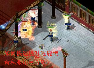 如何快速提升逐鹿传奇私服角色等级? 如何快速提升逐鹿传奇私服角色等级?