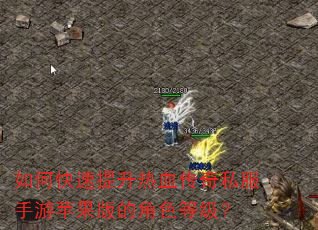 如何快速提升热血传奇私服手游苹果版的角色等级? 如何快速提升热血传奇私服手游苹果版的角色等级?