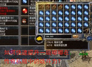 如何快速提升一级嘟嘟在传奇私服中的战斗力? 如何快速提升一级嘟嘟在传奇私服中的战斗力?