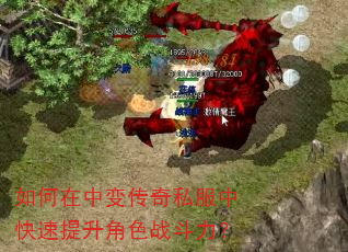 如何在中变传奇私服中快速提升角色战斗力? 如何在中变传奇私服中快速提升角色战斗力?