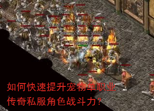 如何快速提升宠物单职业传奇私服角色战斗力? 如何快速提升宠物单职业传奇私服角色战斗力?