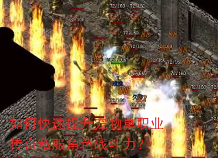 如何快速提升宠物单职业传奇私服角色战斗力? 如何快速提升宠物单职业传奇私服角色战斗力?