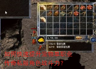 如何快速提升宠物单职业传奇私服角色战斗力? 如何快速提升宠物单职业传奇私服角色战斗力?