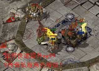如何快速提升wg999传奇私服角色等级? 如何快速提升wg999传奇私服角色等级?