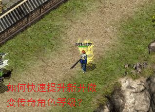 如何快速提升新开微变传奇角色等级? 如何快速提升新开微变传奇角色等级?