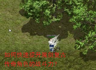 如何快速提升魔剑复古传奇角色的战斗力? 如何快速提升魔剑复古传奇角色的战斗力?