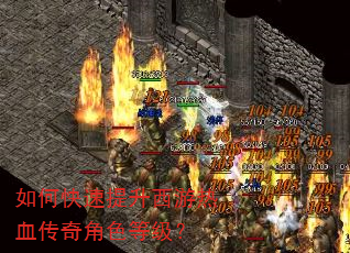 如何快速提升西游热血传奇角色等级? 如何快速提升西游热血传奇角色等级?