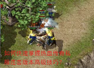 如何快速掌握热血传奇私服连击版本高级技巧? 如何快速掌握热血传奇私服连击版本高级技巧?