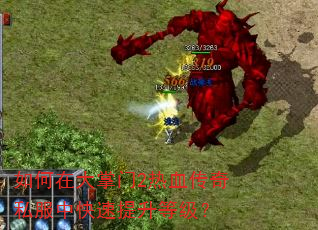 如何在大掌门2热血传奇私服中快速提升等级? 如何在大掌门2热血传奇私服中快速提升等级?