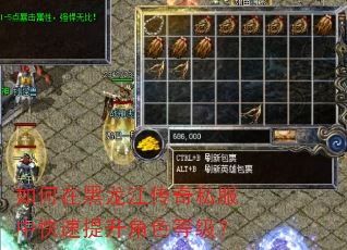 如何在黑龙江传奇私服中快速提升角色等级? 如何在黑龙江传奇私服中快速提升角色等级?