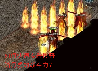 如何快速提升传奇踏月虎的战斗力? 如何快速提升传奇踏月虎的战斗力?