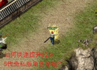 如何快速提升52345传奇私服角色等级? 如何快速提升52345传奇私服角色等级?
